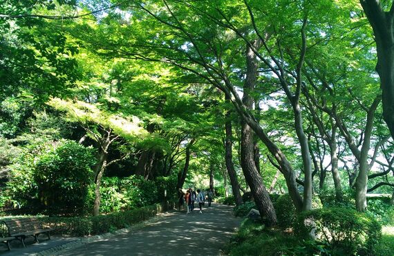 豊中で評判の整体院ひふみ庵にご連絡ください。