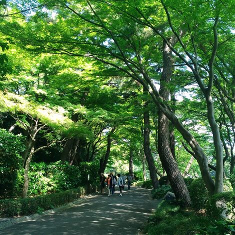 風景
