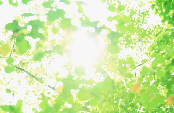 豊中の整体院ひふみ庵から自分の歪みのセルフチェック方法と予防法をお届け